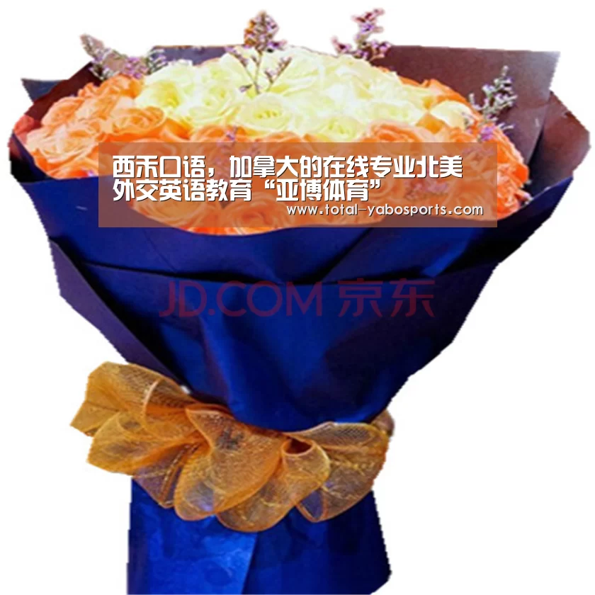 西禾口语,加拿大的在线专业北美外交英语教育“亚博体育”(图1) 亚博